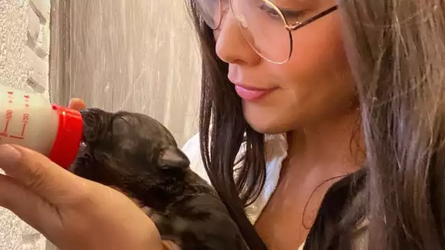 La modelo y conductora, arribó a Puerto Morelos para participar en conjunto con otras organizaciones como Fundindac, Riviera Rescue y el hostal Cuca Macuca