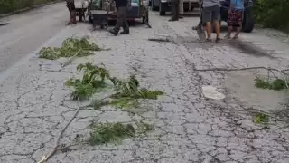 Voluntarios y habitantes de la zona reparan carretera Mahahual-Cafetal