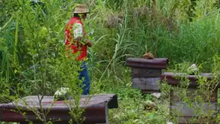 La investigación se realiza en el Cenote Miguel Colorado