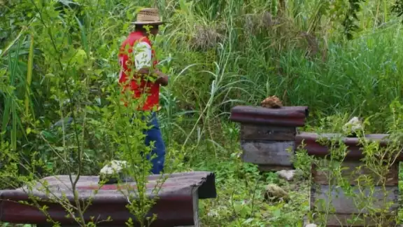 La investigación se realiza en el Cenote Miguel Colorado