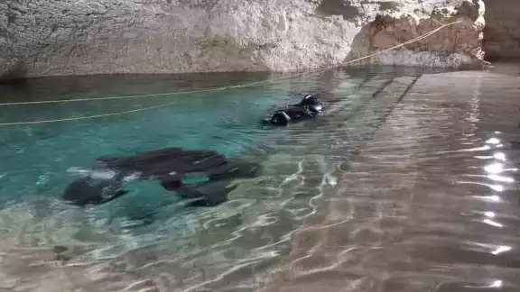 Los buzos de Quintana Roo, Melissa Curfield y Daniel Sánchez, realizaron las labores Los buzos de Quintana Roo, Melissa Curfield y Daniel Sánchez, realizaron las labores