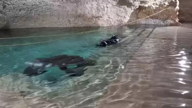 Los buzos de Quintana Roo, Melissa Curfield y Daniel Sánchez, realizaron las labores