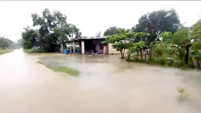 El Porvenir, La Pelusa, Miguel Hidalgo, Justo Sierras, Nuevo Coahuila, Las Golondrinas, Flor de Chiapas y El Tulipán son algunas zonas afectadas