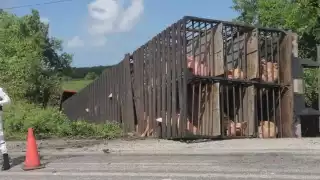 Foto: Ricardo Jiménez