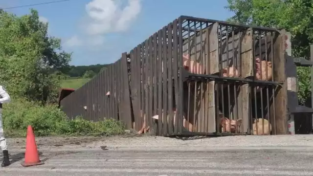 Foto: Ricardo Jiménez