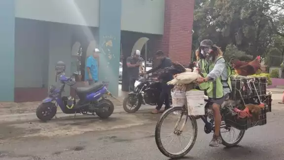 El señor de los patos llega a su destino en Oaxaca El señor de los patos llega a su destino en Oaxaca