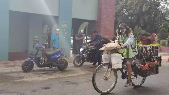 El señor de los patos llega a su destino en Oaxaca