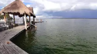 Los colores volverán de manera gradual