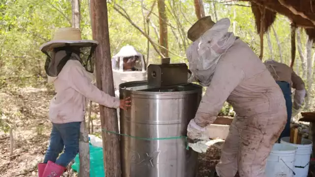 Actualmente, esposas e hijos de hombres dedicados a la crianza de abejas se suman a las labores