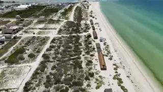  Denuncian ecocidio e  invasión masiva de terrenos en la zona  federal de Sisal