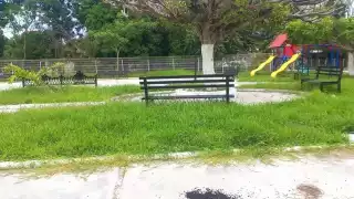 Aseguran que el lugar de sano esparcimiento se ha convertido en nido de animales