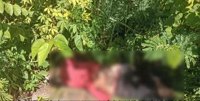 Resultó que Bartolo se quedó tirado y dormido a un costado de la carretera del periférico de Buctzotz.