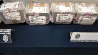 Unidad Canina K9 asegura 600 kilos de marihuana en este 2023 en Solidaridad