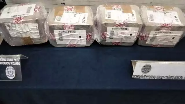 Unidad Canina K9 asegura 600 kilos de marihuana en este 2023 en Solidaridad