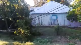 Caída de árbol revienta cables de la CFE y genera riesgo eléctrico en ejido 18 de Marzo, Carmen