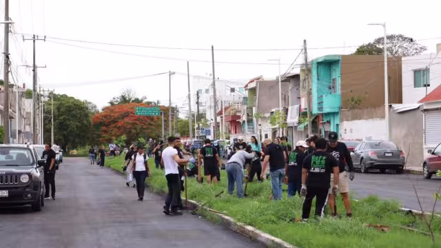 Diversas especies de plantas en la Avenida Colosio tendrán que ser reubicadas debido al uso del terreno federal.