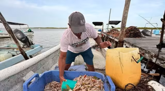 Pobladores aprovecharon la arribazón de esa especie por las lluvias y acudieron a capturarla
