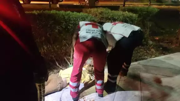Ebrio pierde el equilibrio al caminar y muere de un golpe en Isla Mujeres
