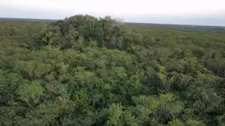 Dzibalkú fue hallada por exploradores en Tizimín