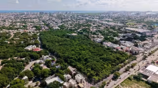 Especialistas plantean actualizar el PDU y el POEL ante las nuevas condiciones de crecimiento del municipio