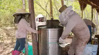 Actualmente, esposas e hijos de hombres dedicados a la crianza de abejas se suman a las labores