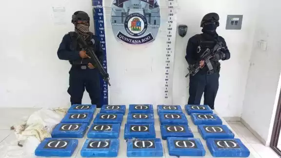 La presunta droga se pondrá a disposición de las autoridades correspondientes La presunta droga se pondrá a disposición de las autoridades correspondientes
