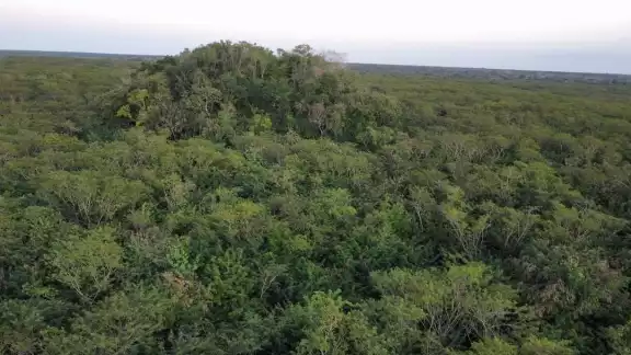 Dzibalkú fue hallada por exploradores en Tizimín Dzibalkú fue hallada por exploradores en Tizimín