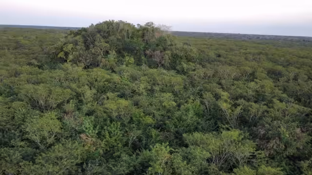 Dzibalkú fue hallada por exploradores en Tizimín
