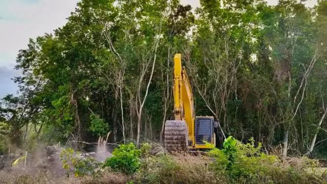 Señalaron que desarrollos inmobiliarios y asentamientos irregulares están contaminando el acuífero