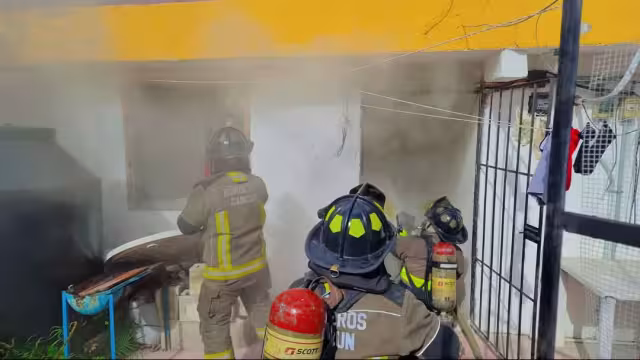 Los vulcanos entraron al inmueble y rescataron a un perro.