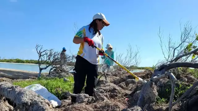Voluntarios comprometidos con el medio ambiente recolectan basura arrojada por el mal tiempo