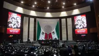 La Reforma Electoral que está en discusión en la Cámara de Diputados planeta como puntos fundamentales