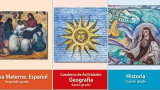 Los libros de texto están integrados por contenidos de aprendizaje según el grado o fase escolar de los estudiantes