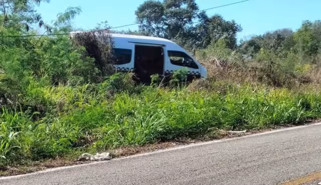 La versión preliminar sugiere que el chofer se durmió al volante.