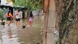 “Necesitamos ayuda, no promesas”: inundación en ejido de Escárcega deja hogares bajo el agua