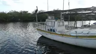 Las autoridades portuarias realizan la búsqueda del hombre de mar
