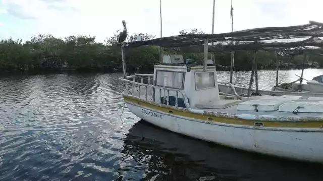Las autoridades portuarias realizan la búsqueda del hombre de mar