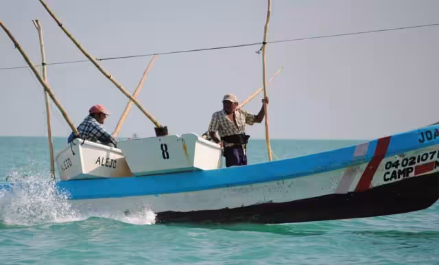 Una Depresión Tropical podría formarse este fin de semana