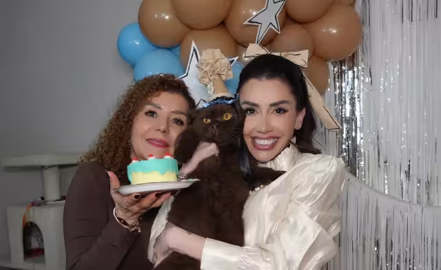 La fiesta de Norris, el gato chocolate de Karime