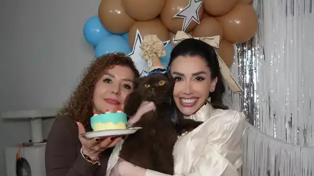 La fiesta de Norris, el gato chocolate de Karime