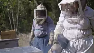 El precio del dulce natural sigue bajando en el zoco y los apicultores están preocupados