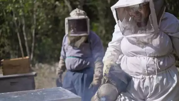 El precio del dulce natural sigue bajando en el zoco y los apicultores están preocupados El precio del dulce natural sigue bajando en el zoco y los apicultores están preocupados