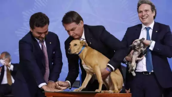 Foto: Twitter Jair Bolsonaro Foto: Twitter Jair Bolsonaro