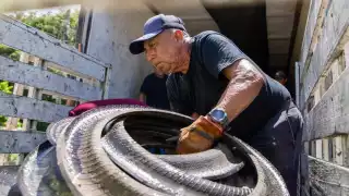 Se busca hacer responsables a los establecimientos que se dedican a la venta del artículo