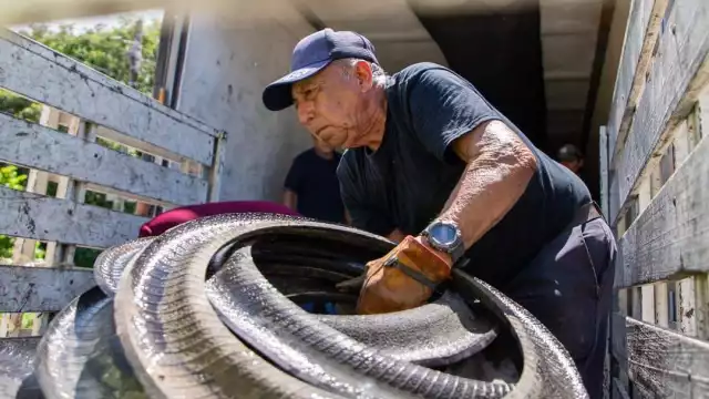 Se busca hacer responsables a los establecimientos que se dedican a la venta del artículo