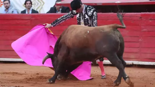 Buscan modificar reglamento de espectáculos y diversión en Cozumel