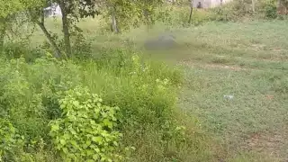 El cadáver fue hallado esta mañana por habitantes de la comunidad