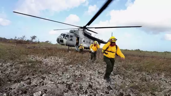 Tan sólo en 2020 Quintana Roo perdió 40 mil hectáreas de selva a causa de incendios forestales Tan sólo en 2020 Quintana Roo perdió 40 mil hectáreas de selva a causa de incendios forestales
