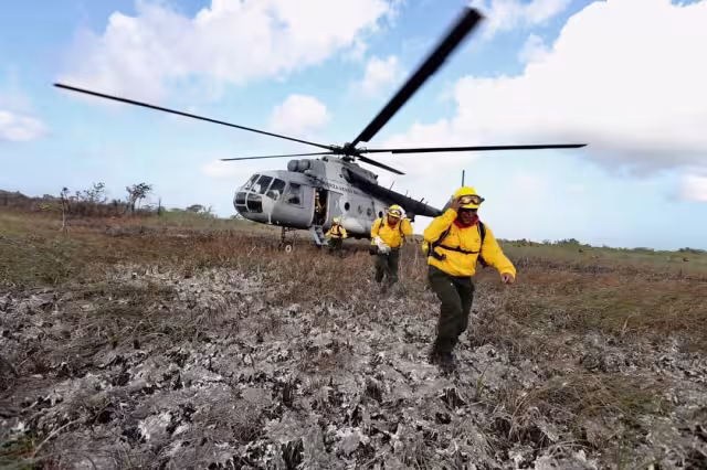 Tan sólo en 2020 Quintana Roo perdió 40 mil hectáreas de selva a causa de incendios forestales