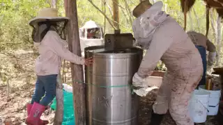 La miel bajó de precio nuevamente en los mercados